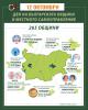 Инфографика